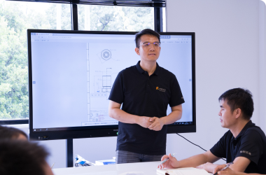 Experienced Professionals