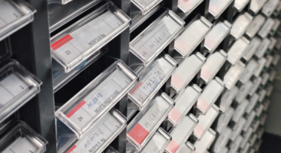 gauge_numbering_format_storage