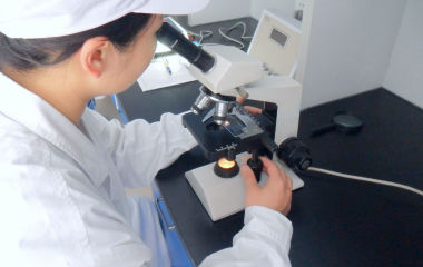 production_step_03_material_inspection